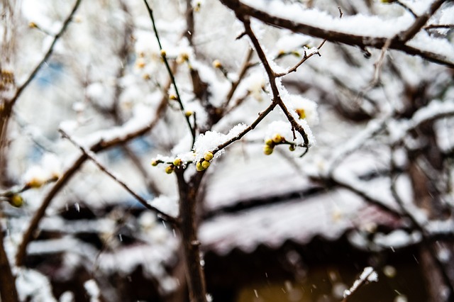 这种盲目采