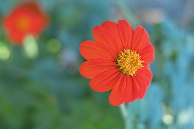 公众反应与 公众反应与