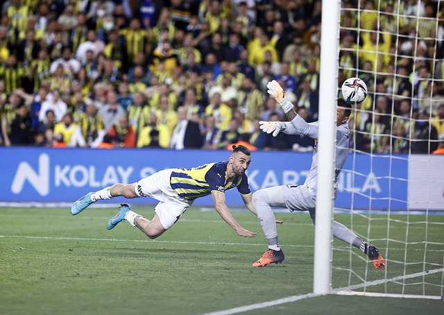 同时也表现 同时也表现