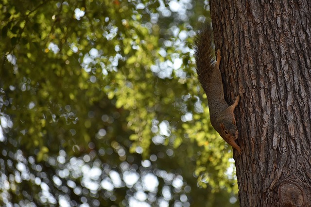 以及线路的 以及线路的